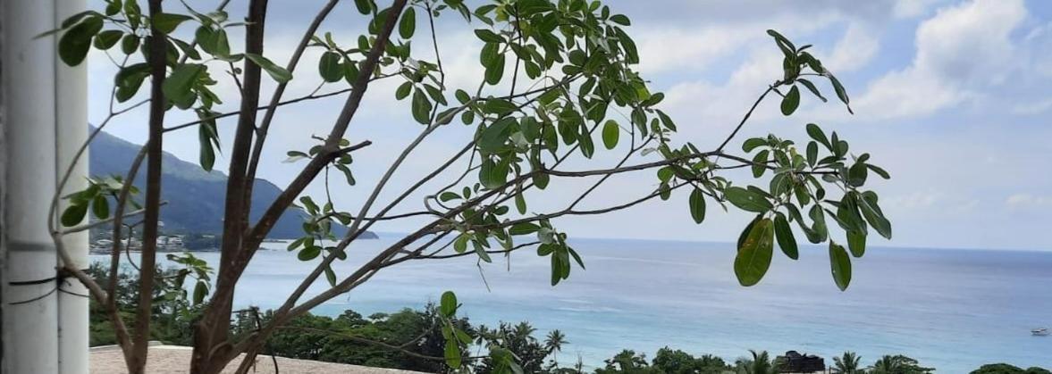 Northwest Bay Seaview Apartment Beau Vallon  Dış mekan fotoğraf